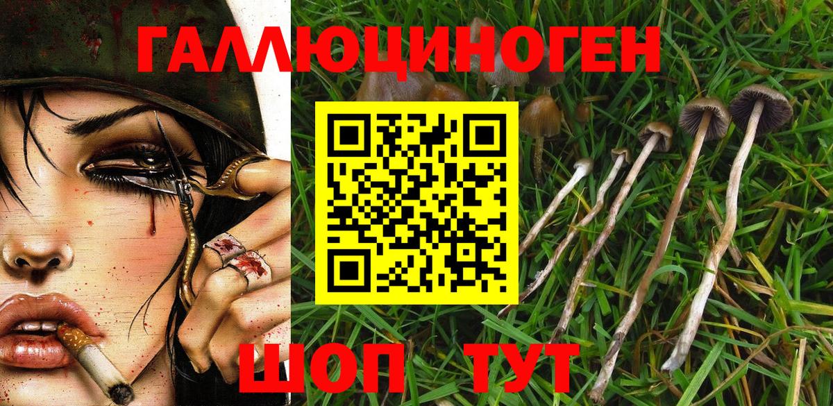 Галлюциногенные грибы мухоморы Белорецк